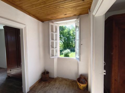 photo no. 14