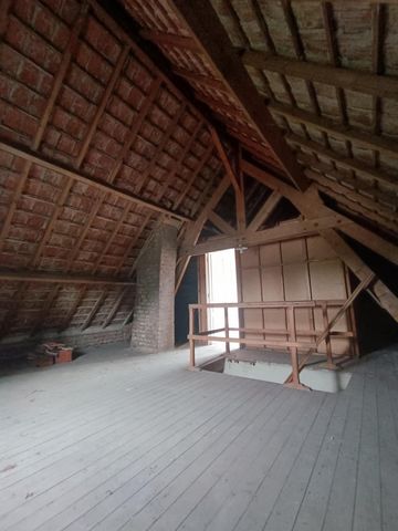 photo no. 9