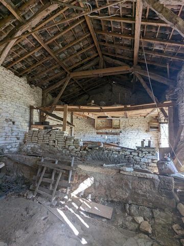 photo no. 5
