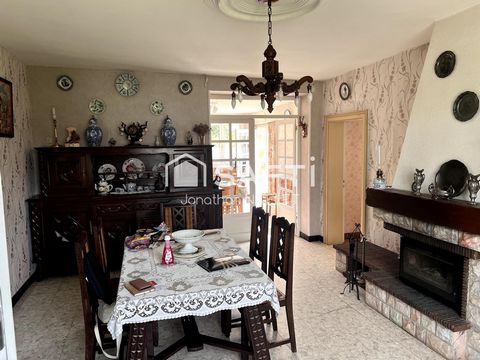 photo no. 4