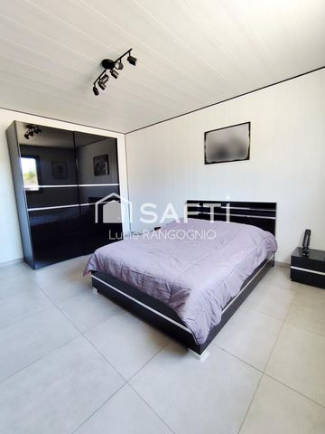 photo no. 8