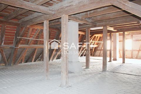 photo no. 7