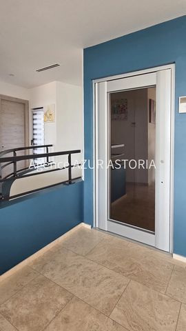 photo no. 18