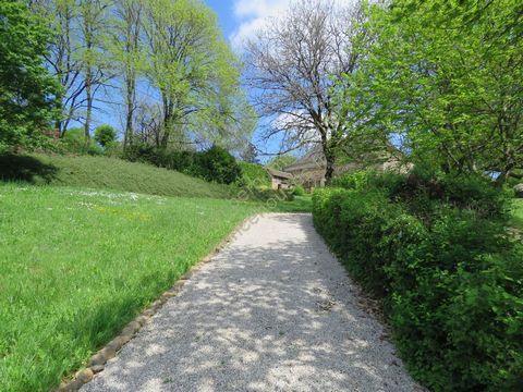 photo no. 19