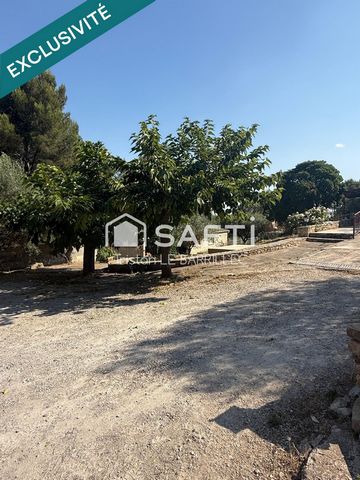 photo no. 10