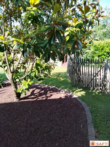 photo no. 18