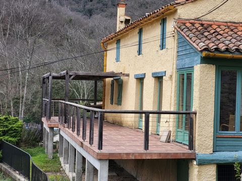 photo no. 9