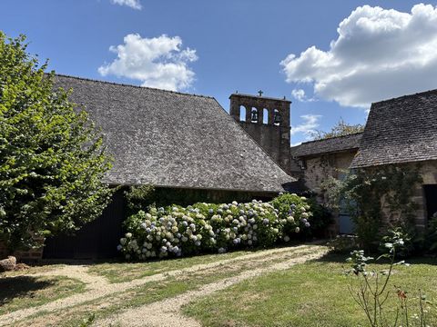 photo no. 18