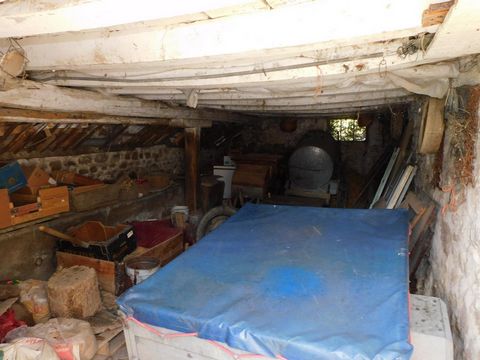 photo no. 15