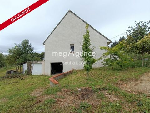 photo no. 8