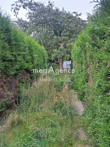 photo no. 7