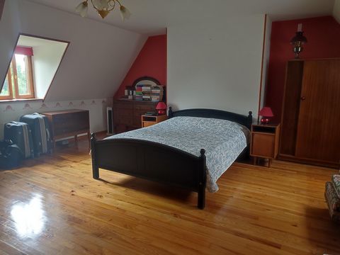 photo no. 13