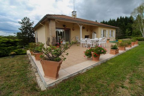 photo no. 19