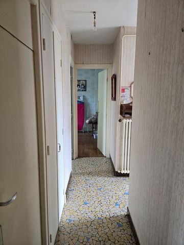 photo no. 8
