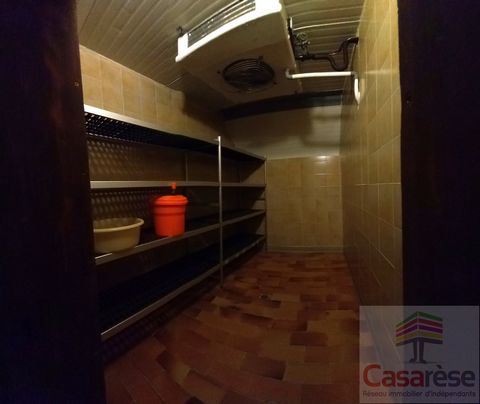 photo no. 14