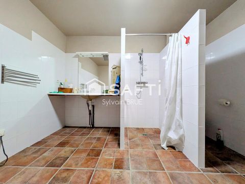 photo no. 11