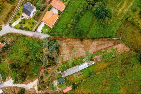 Terreno com 1420 m2, localiza-se próximo ao centro de Parada de Todeia e sua estação de comboio, no entanto, por se tratar de uma rua habitacional e sem saída, beneficia de bastante tranquilidade.Pela sua dimensão e características, permite que se co...