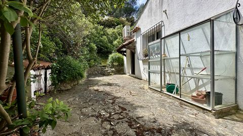 photo no. 3