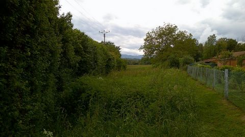 photo no. 2