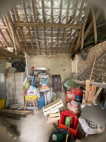 photo no. 16