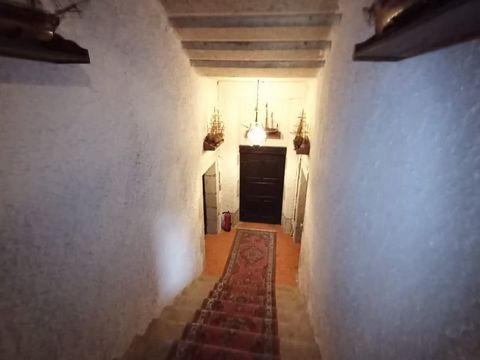 photo no. 9