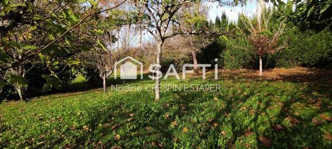 photo no. 10
