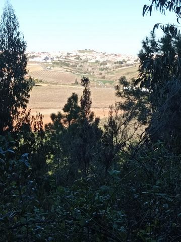 Rustic land with 20.000m2 near Calada BeachThe land confines with the Safarujo River that flows into the beach of S. LourençoHas the following characteristics:A flat area of lowland and the rest area with slopes and eucalyptus and pine plantationsExc...