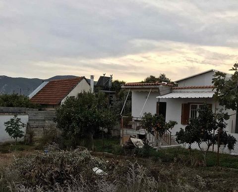 Agios Dimitrios, Corinthia. A vendre une maison individuelle de 50 m². sur un terrain de 250 m², construit en 1983. Se compose de 2 chambres, salon, cuisine, salle de bains, et une salle de stockage de 30 m². L’isolation sur le toit a été faite il y ...