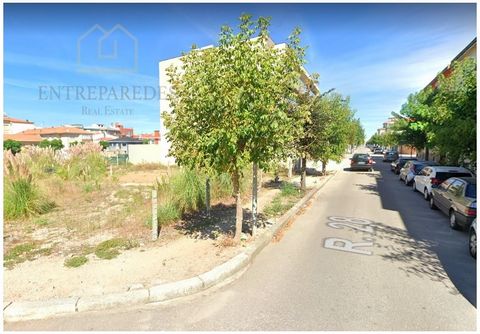 A vendre Terrain constructible pour immeubles dans le centre d'Espinho Superficie du terrain : 284m2 Viabilité pour construction de bâtiments avec sous-sol pour garage, 1er, 2ème et 3ème étage + 1 étage en retrait. Hauteur égale au nouvel immeuble qu...