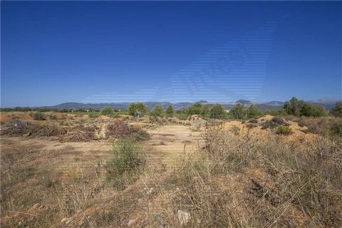 Consell Area. Rustic plot of approximately 23,385m2. This plot is buildable and there is the possibility of building a house of 281m2. The lot has a well and also has electricity. There is a construction project. It has mountain views. The plot is lo...