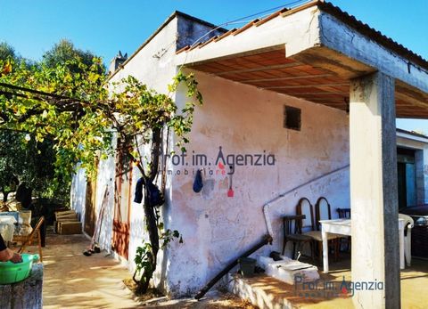 Farmhouse to be renovated for sale in the countryside of Carovigno, located a short distance from the sea. The property has three rooms, a veranda in front of the entrance and a large yard. It is possible to build an extension, as well as a veranda, ...