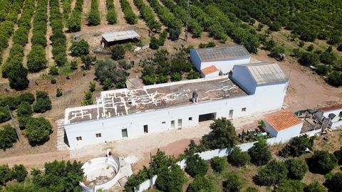 Located just 10 minutes from Tavira, this farm consists of 266 m2 of construction plus an agricultural warehouse with 30 m2, spread across the 14.5 hectares of various fruit trees, orange trees, lemon trees, carob trees, olive trees, etc., bore, daug...