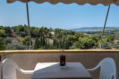 in vendita Hotel per con 12 appartamenti. in funzione e 10 appartamenti in costruzionein un luogo da sogno in mezzo alla natura e vicino al mare Features: - Garden - Parking - Dining Room