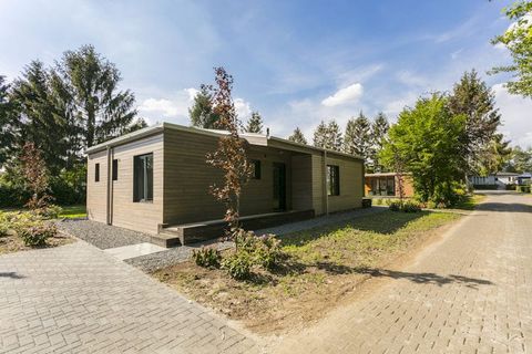 At Holiday Center 't Schuttenbelt you can can choose from four detached accommodations, located on one spacious 