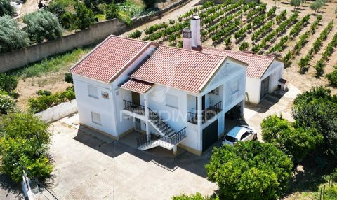 Bauernhof im Südwesten des Alentejo, in Vale de Santiago, mit 2.3000 ha und einem Haus mit einer Bruttobaufläche von 208 m2.   Die Villa besteht aus: Im ersten Stock befinden sich zwei Schlafzimmer, ein Badezimmer mit Badewanne, eine Küche mit Kamin ...