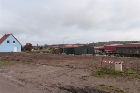 photo no. 1