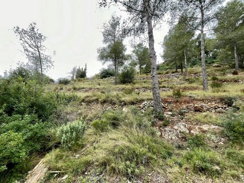 Bebaubare Grundstücksfläche von 1.064 m2 im Priorat de la Bisbal.~ Großes Grundstück für den Bau Ihres Hauses.~