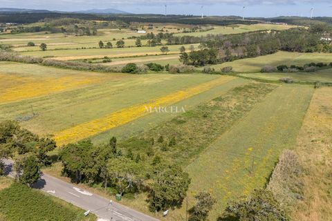 Grundstück von 6500 m2 (sowohl rustikal als auch bebaubar), geteilt durch eine Straße, wovon 2000 m2 im bebauten Gebiet von Monte Viana in Alfambras liegen. Das Grundstück liegt innerhalb der Parameter des direkten Bebauungsplans der Stadt Aljezur, s...