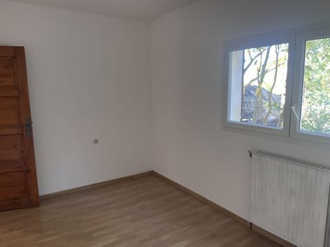 photo no. 20