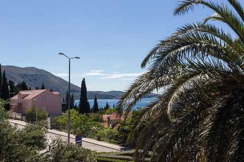 Apartments Djurkovic are located in the village of Mlini which are only 8 km away from Dubrovnik. The sandy Srebreno Beach and pebbly Mlini Beach are within a 150meters away from the property. The property offers a garden with Mediterranean vegetatio...