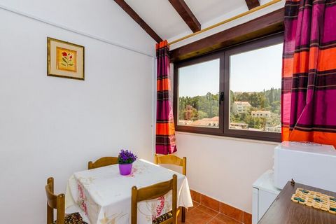 Apartments and Rooms Mihajica are located in Cavtat, a quiet coastal town rich with cultural and historical heritage, beautiful beaches and scenery, only 20 km away from Dubrovnik's Old Town. Common terrace will be at your disposal. Parking is free a...