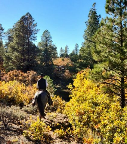 Nestled in Colorado's Western Slope at the edge of the Uncompagre Plateau lies the secluded 1,068-acre hunting and recreational paradise known as Piney Creek Ranch. Enjoy mountain views in all directions on an amazing property that holds elk, mule de...