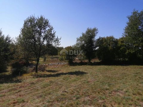 Location: Istarska županija, Bale, Bale. ISTRIA, BALE - Terreno edificabile in un insediamento tranquillo Uno dei gioielli istriani più belli è la città di Valle, situata sulla costa occidentale dell'Istria. Questa storica cittadina in pietra è costr...