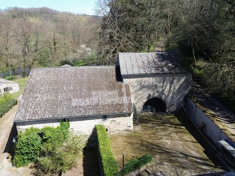 photo no. 6