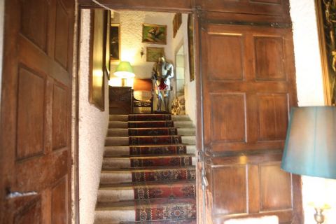photo no. 8