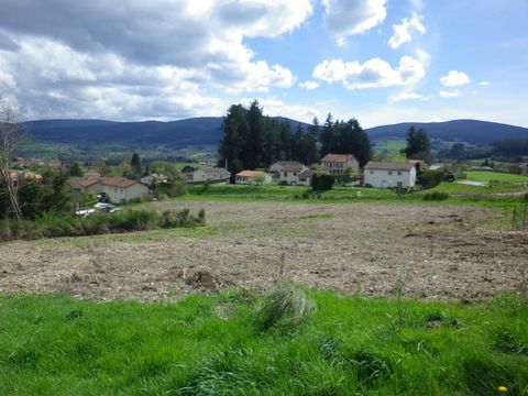 Terrain constructible viabilisé 1538m² 45000 à vendre NOIRETABLE 42440