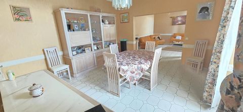 photo no. 12