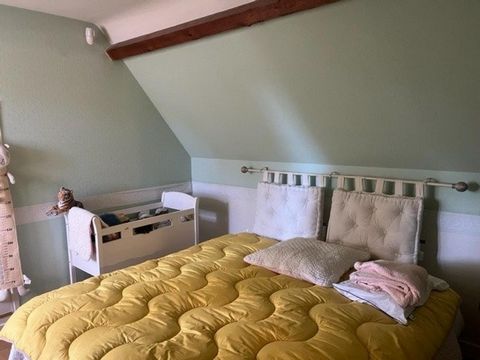photo no. 19