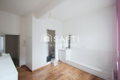 photo no. 12
