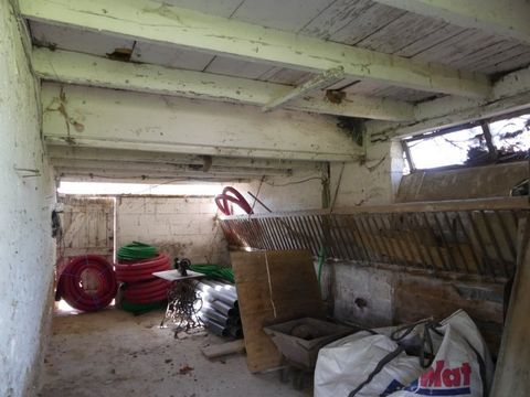 photo no. 4